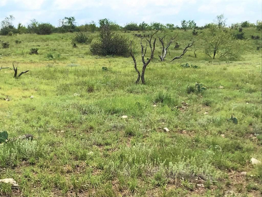 19. Lots / Land at Tract 10 -- Cave Wells Road Menard, Texas 76859 United States