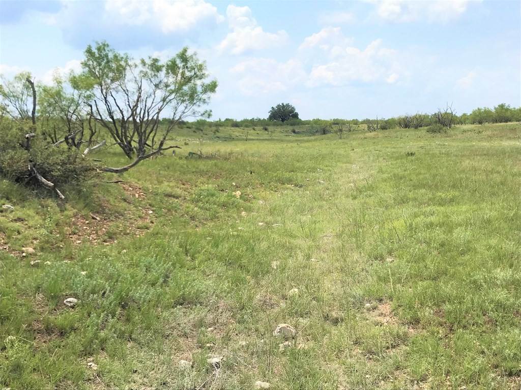 5. Lots / Land at Tract 10 -- Cave Wells Road Menard, Texas 76859 United States
