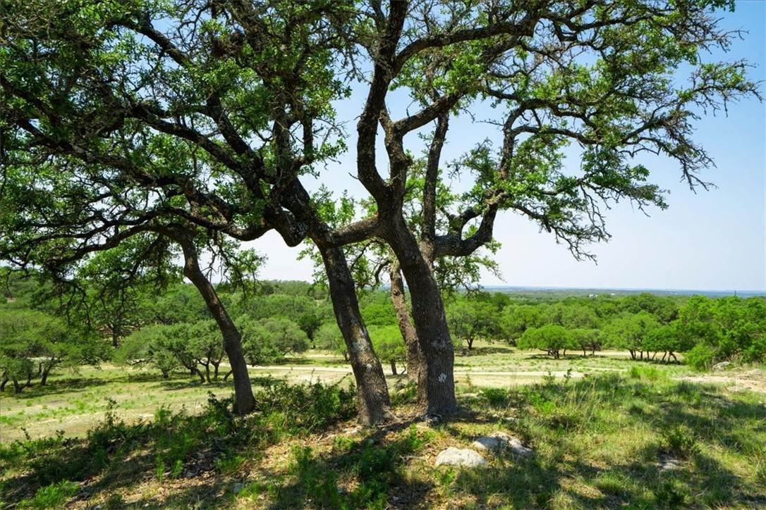 Single Family Homes for Sale at 7890 W 290 Highway Dripping Springs, Texas 78620 United States