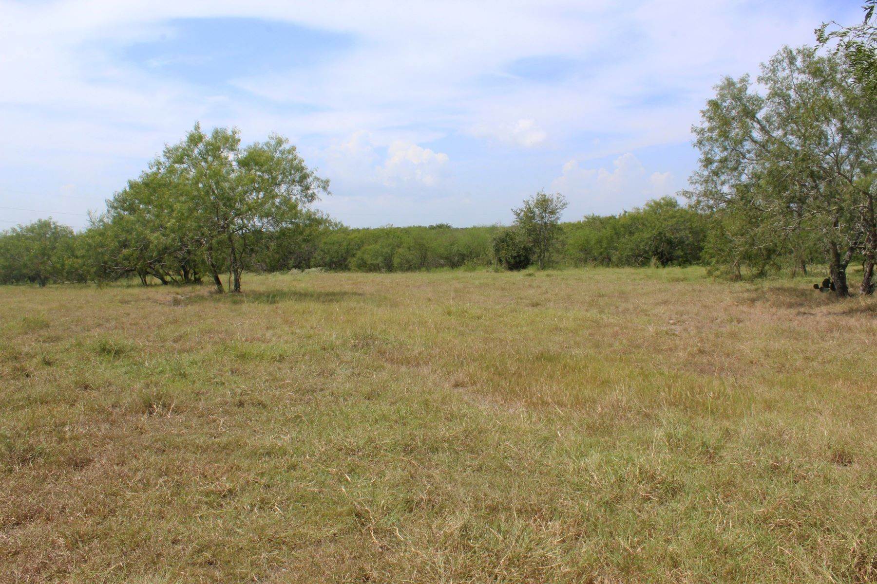 14. Farm and Ranch Properties at 160+/- Acres Colina de Vaca Ranch, Gonzales County Gonzales, Texas 78629 United States
