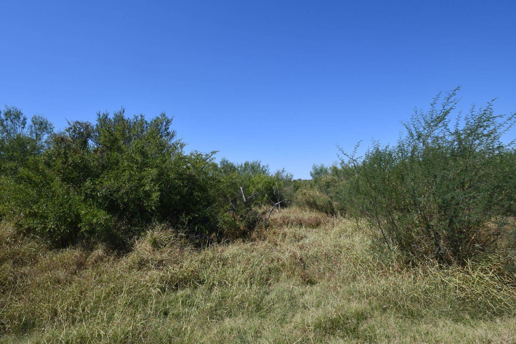 20. Farm and Ranch Properties at 3,840+/- Acres Soledad Creek Ranch, Duval County Freer, Texas 78357 United States
