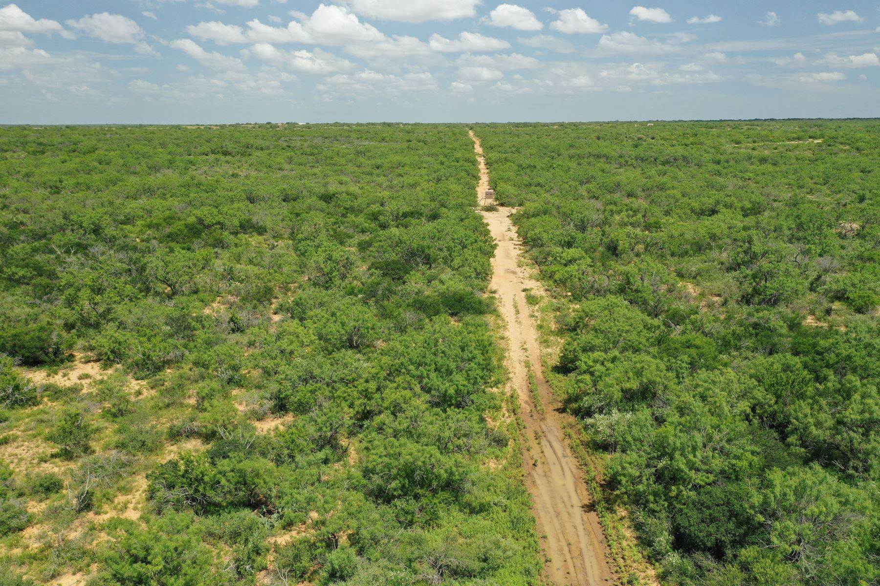 21. Farm and Ranch Properties at 2,240+/- Acres PENDENCIA RANCH, Dimmit County Carrizo Springs, Texas 78834 United States