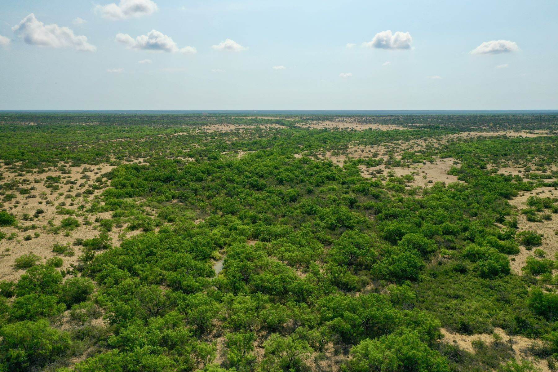 4. Farm and Ranch Properties at 15,963+/- Acres El Indio Cage Ranch Carrizo Springs, Texas 78860 United States