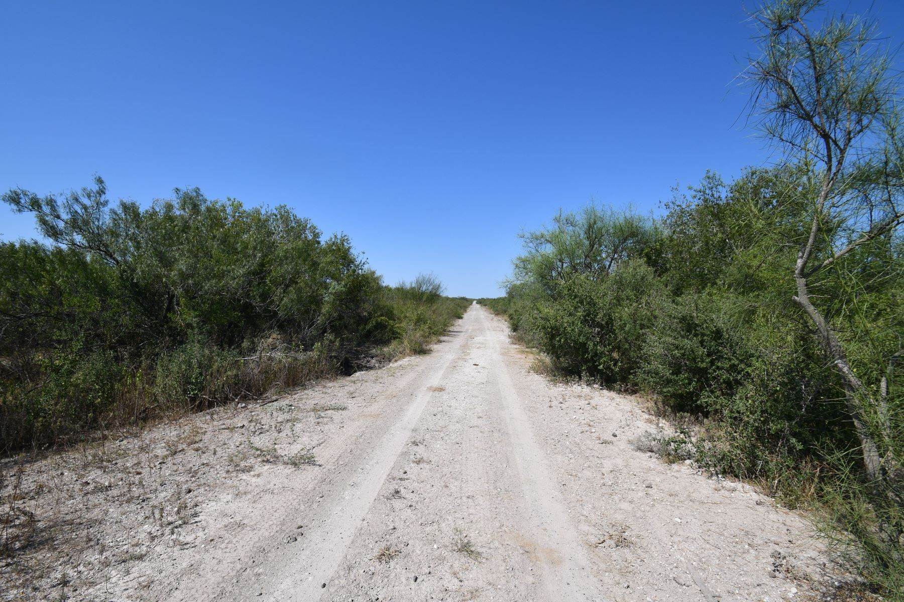 16. Farm and Ranch Properties at 3,840+/- Acres Soledad Creek Ranch, Duval County Freer, Texas 78357 United States