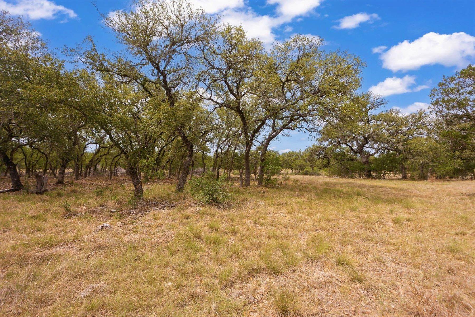 11. Farm and Ranch Properties at 233 Kasten Road, Tract C Boerne, Texas 78006 United States