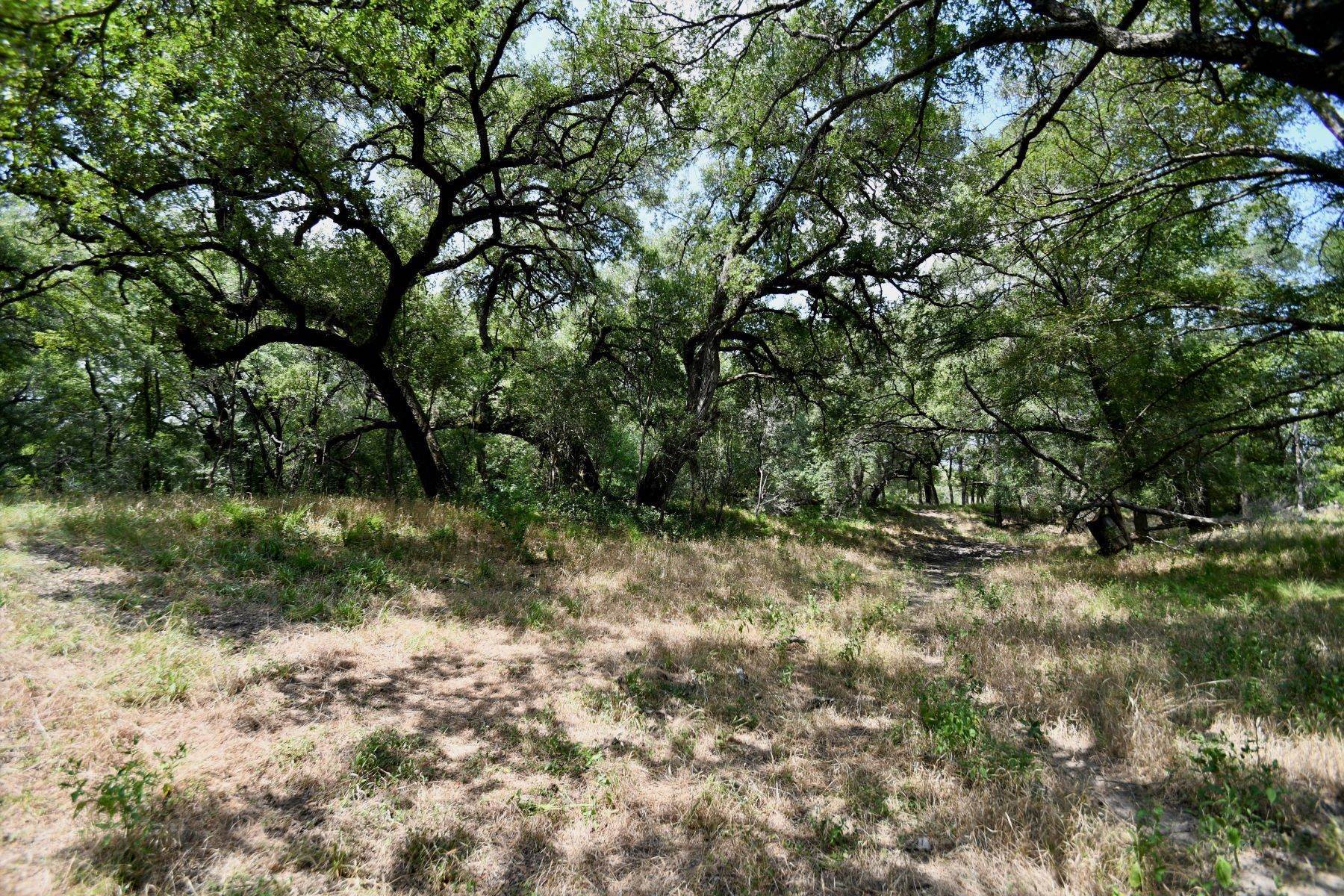 15. Farm and Ranch Properties at 5,000+/- Acres Leona River Ranch Pearsall, Texas 78061 United States