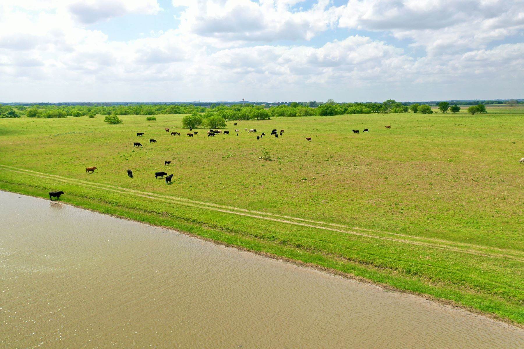 13. Farm and Ranch Properties at 417+/- Acres Shipp Lake Ranch, Bastrop County, Hwy 71 Bastrop, Texas 78602 United States